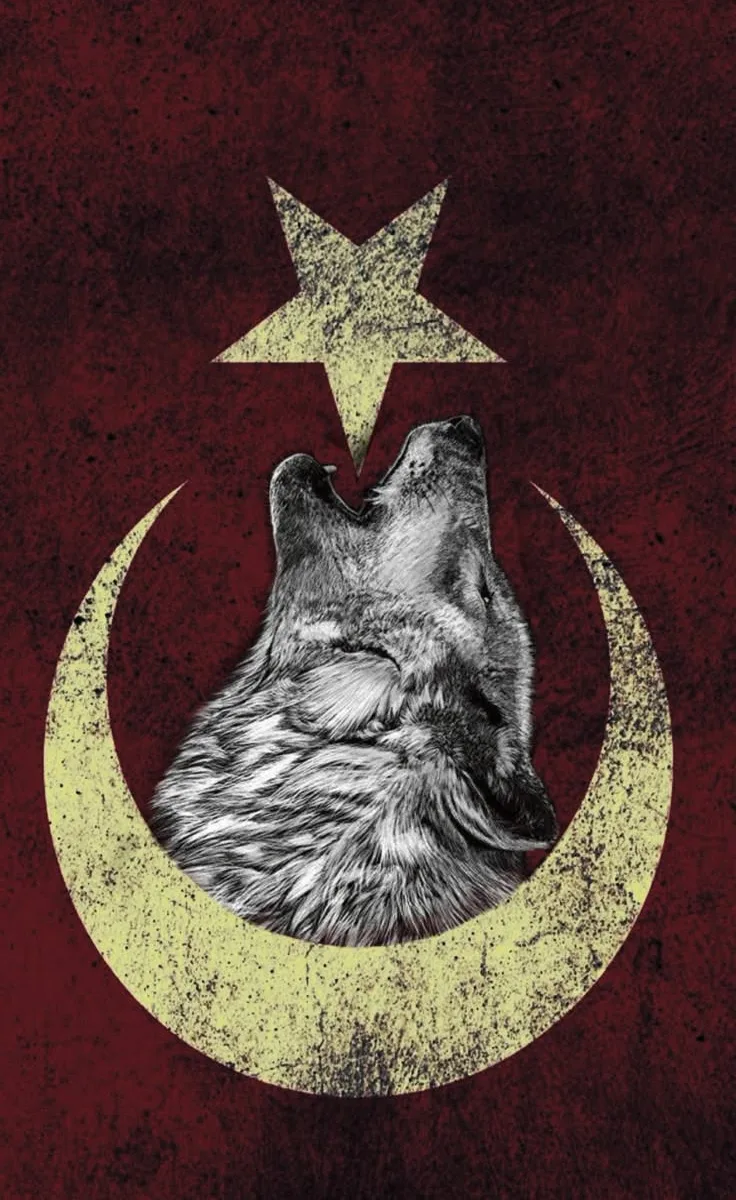 Türk